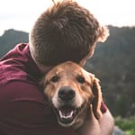 The closeness of dogs and people
